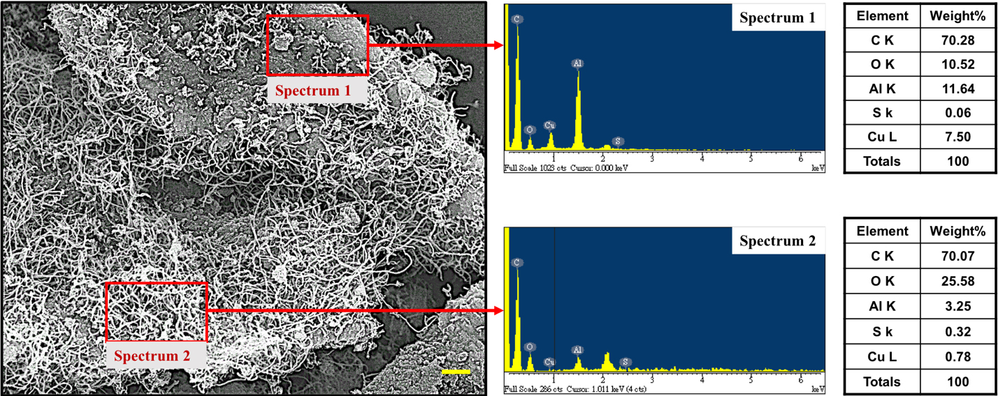 Figure 6. EDS spectra and semi-quantitatively elemental analysis of the two selected area of a typical SEM image of 5.0 wt% CuSO4/γ-Al2O3 catalyst in NOCM at 800 under a mixture of Ar diluted methane with a flow rate of 40 mL/min for 2 hours.