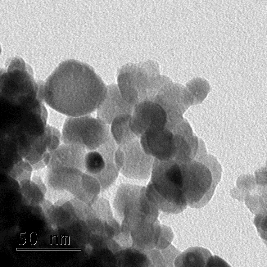 Figure 2. TEM images of ZnO nanoparticle in 50 nm.