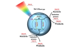 Reading at exposed surfaces: theoretical insights into photocatalytic activity of ZnWO4