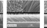 Nitrogenated Carbon Nanotubes Functionalized with Chlorine and Oxygen: Electronic and magnetic properties for electronic/magnetic device applications