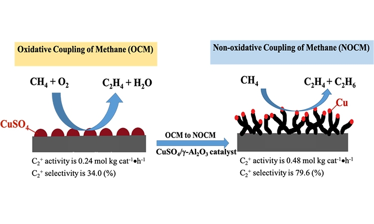 Unexpectedly Promoting Effect of Carbon Nanotubes Grown During the Non-oxidative Coupling of Methane over Copper Catalysts