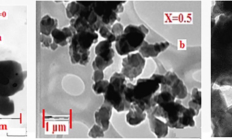 Magnetic and Resonance Study of Double doped M-type hexaferrite Ba1-x(CuxAlxFe12-x)O19